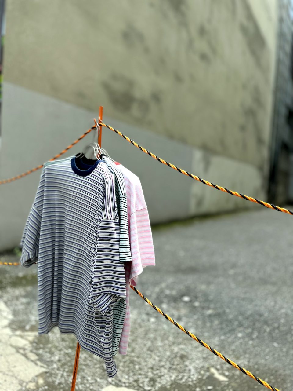 ROTOL (ﾛﾄﾙ) / WIDE TWIST TEE BORDER – MIXBERRY | disarm | no